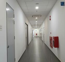 Hh @ Kallang (D13), Factory #584481451